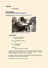 3ème - La Seconde Guerre mondiale - cours - II.C.3.