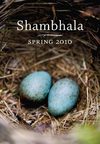 Spring 2010 trade catalogue
