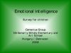 Emotional intelligence
