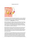 Big Earrings In Fashion World