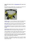 Fashion Black Agate Jewelry on www.aypearl.com with coupon code AY3322