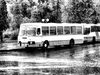 Автобусы Лиаз Фото