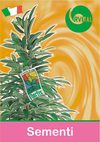 SEMENTI - CATALOGO 2010