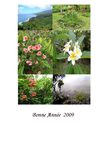 Voeux 2009