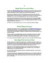 Magni Work Generator Plans