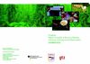 brochure interno
