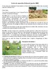 Lettre de nouvelles n. 01