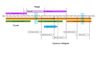 Ligne du temps 2009 - 2010