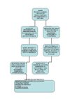 MAPA CONCEPTUAL