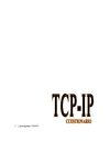 CUESTIONARIO TCP-IP