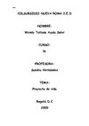 proyecto de vida 
