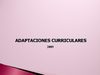 Adaptaciones curriculares