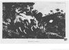 L'Afrique sauvage - nouvelles excursions au pays des Ashangos par Du Chaillu, Paul Belloni (1831-1903), 1868 