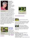 Jardin très fleuri de Jacqueline