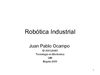 Robotica_Industrial_