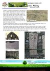 Archaeological trips n.1 Movilla Abbey. Newtowards. Co. Down