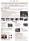 Caracterización de la Gallina de Chulilla