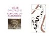 Parcours du Patrimoine d'Uzerche