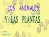 Animales y Plantas