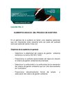 ELEMENTOS BÁSICOS DEL PROCESO DE AUDITORIA