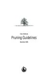 Bellevue Tree Pruning Guide
