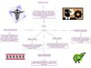 Mapa Conceptual Derechos De Autor