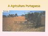 A Agricultura Portuguesa 