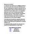 Máscara de subredanyisita