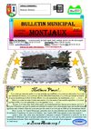 Bulletin Municipal de la commun de Montjaux n° 47 - Janvier 2009