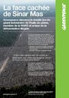 La face cachée de Sinar Mas
