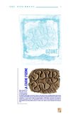 La couche d'Ozone de R Bozier et H Saint-Eve