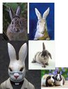 Ilustrando en Photoshop como un PRO