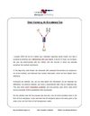 Email Marketing: An Evolutionary Tale