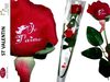 Marcotullio traiteur : Nos offres pour la St-Valentin 2010