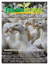 FolhaRural - a revista da vida no campo