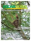 FolhaRural - a revista da vida no campo