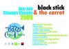 programme jace 2009