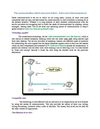 The communication which was never before - Voice over internet protocol
