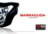 CATALOGO 2010 BARRACUDAMOTO