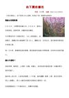 向下開的櫻花(電子書用)