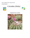 El Huila...Una Región con Estilo "Municipio de Colombia - Huila"
