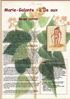 ROUCOU INDIEN