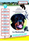 Publication février 2010
