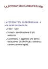 FOTOSINTESI CLOROFILLIANA