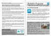 Boletín Partido Popular de Es Castell