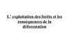 L' exploitation des forêts et les conséquences de la déforestation