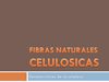 FIBRAS NATURALES celulosicas y ALGODON