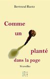 Comme un clou planté dans la page (Bertrand Runtz) - Extrait