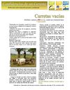29-CARRETAS VACÍAS.noviembre.2008