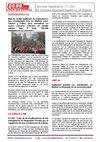 NOTA DE PRENSA MANIFESTACION DEL 02-03-2010